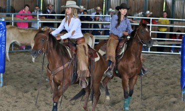 Les photos de Bourgbarré (35) - Ranch sorting et team penning - Championnat Interassociation les 19/20/21 août 2016