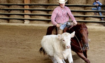 Tous à Mooslargue pour voir du TOP Reined Cow Horse