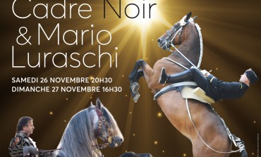 Salon du Cheval de Paris 2016 : on s’organise !