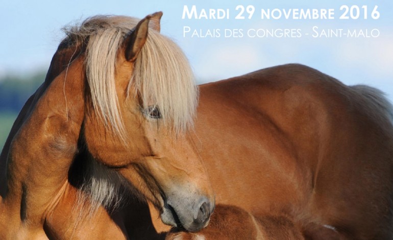 L’avortement chez la jument, faites le point avec les pros le 29 novembre 2016