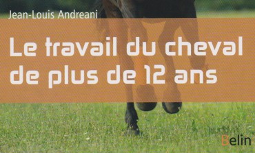 Bien-être et dynamisme du cheval senior