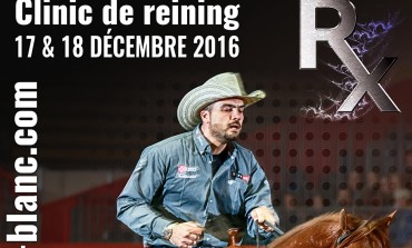 Clinic de reining de Gennaro Lendi à Entraigues