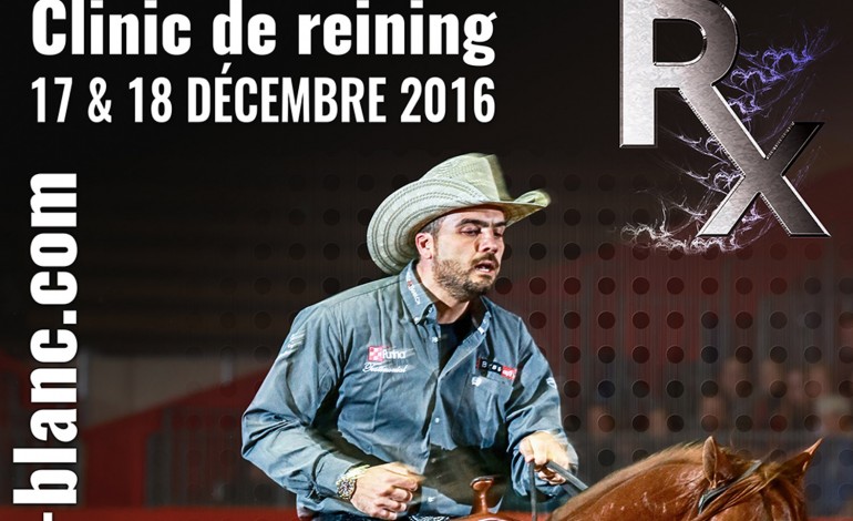 Clinic de reining de Gennaro Lendi à Entraigues