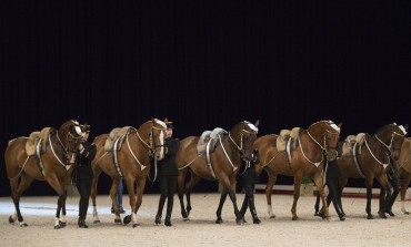 Le Cadre noir se rend accessible à un large public