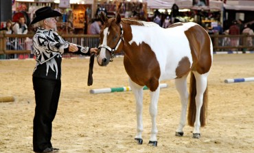 Stage de trail & horsemanship à Onet-le-Château (12) animé par Guylaine Deschênes les 8 et 9 avril 2017