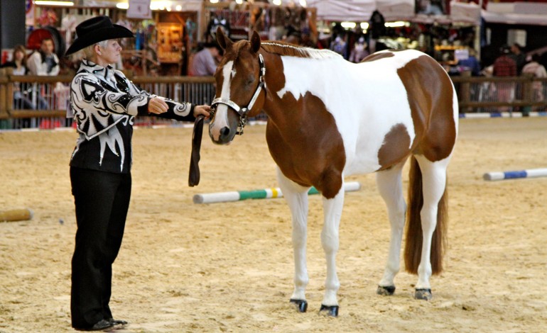 Stage de trail & horsemanship à Onet-le-Château (12) animé par Guylaine Deschênes les 8 et 9 avril 2017