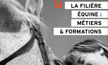 Equi-ressources, depuis 10 ans au service de vos métiers de la filière cheval