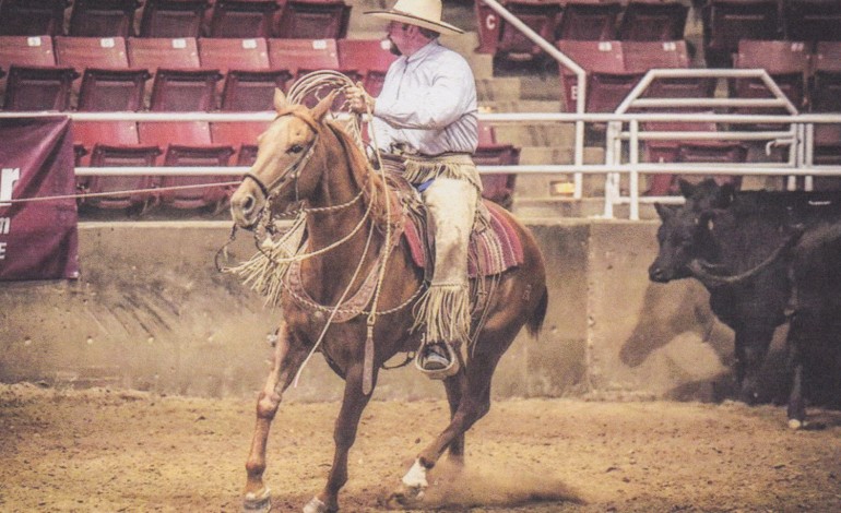 Clinic buckaroo en Haute-Savoie