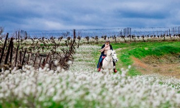 Chevauchez avec Julie à travers les terroirs buissonniers du sud
