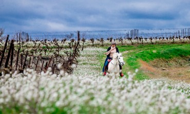 Chevauchez avec Julie à travers les terroirs buissonniers du sud