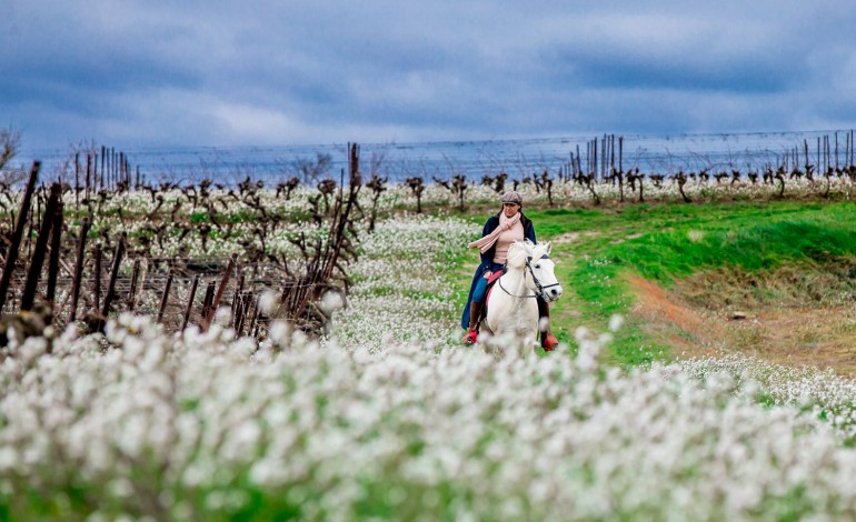 Chevauchez avec Julie à travers les terroirs buissonniers du sud