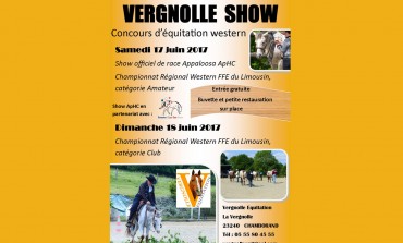 Rendez-vous en juin avec les appaloosas en concours dans le Limousin