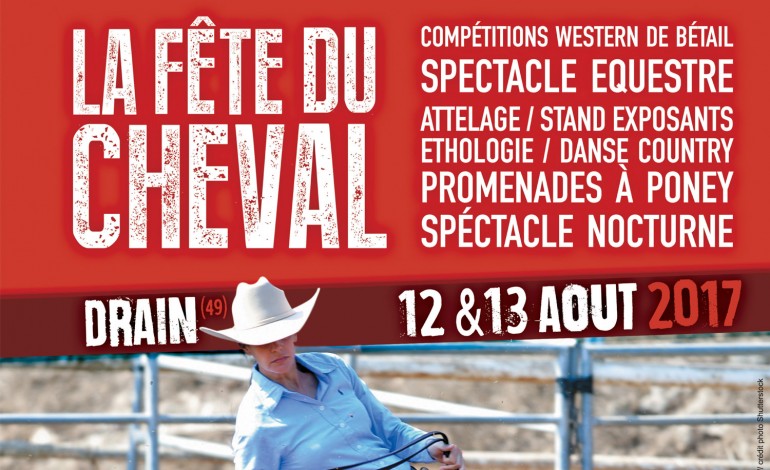 Drain (49) fête le cheval et le travail du bétail les 12 et 13 août 2017