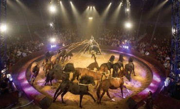 Les chevaux artistes des Gruss sur la piste jusqu’au 10 mai 2017, peut-être près de chez vous…