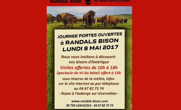 Le 8 mai 2017, les bébés bisons vous attendent à Lanuejols