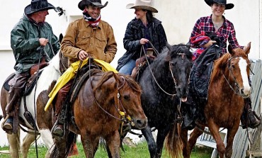 Travail du bétail : Concours AWA à Saint-Yrieix-la-Perche (87)