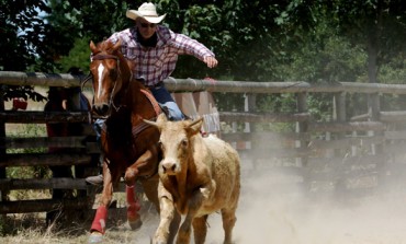 Contigné (49) Festival Western et troisième manche du challenge VRH de la RHA les 24 et 25 juin 2017, les photos…