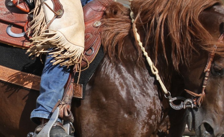 Selle western : appel aux témoignages…