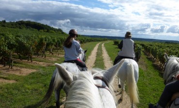 A cheval sur les chemins viticoles de l’appellation chinon les 2 et 3 septembre 2017