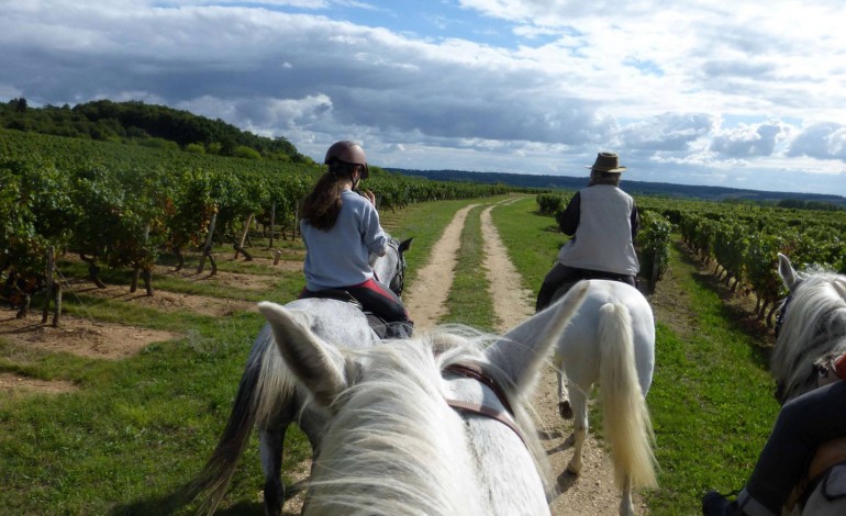 A cheval sur les chemins viticoles de l’appellation chinon les 2 et 3 septembre 2017