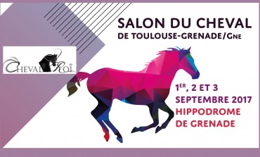Le cheval en son royaume de Grenade sur Garonne début septembre 2017