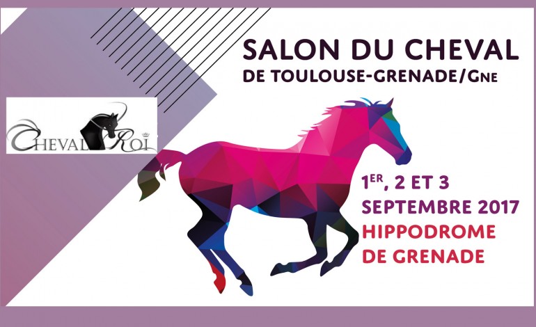 Le cheval en son royaume de Grenade sur Garonne début septembre 2017