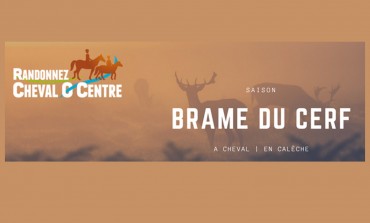 Cette année on ne rate pas le brame du cerf