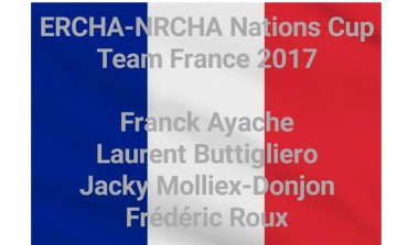 Reined Cow Horse à Augsburg (Allemagne) lors d’Americana : ERCHA/NRCHA Nations Cup 2017