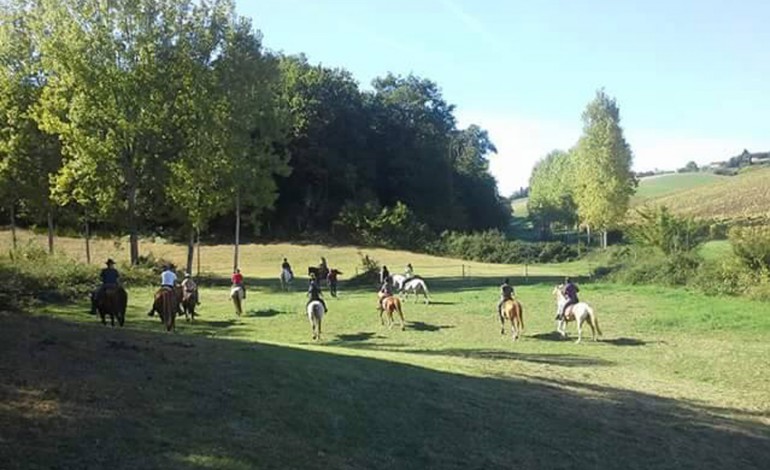 Travailler votre cheval en harmonie dans le Tarn, deux rendez-vous à noter… mais pas seulement