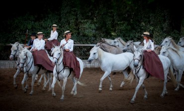 Le cheval au fil de l’histoire à Hennebont (Morbihan) le dimanche 17 septembre 2017