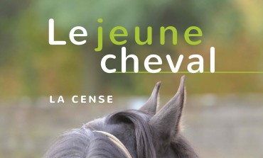 Comment donner de bonnes bases au jeune cheval en 160 pages