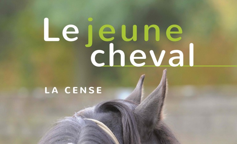 Comment donner de bonnes bases au jeune cheval en 160 pages