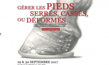 Focus sur le pied du cheval les 29 et 30 septembre 2017 au Haras national du Pin (61)