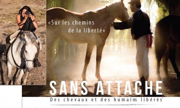 Un film pour changer le regard de tous sur le cheval… en quête d’un dernier coup de pouce financier