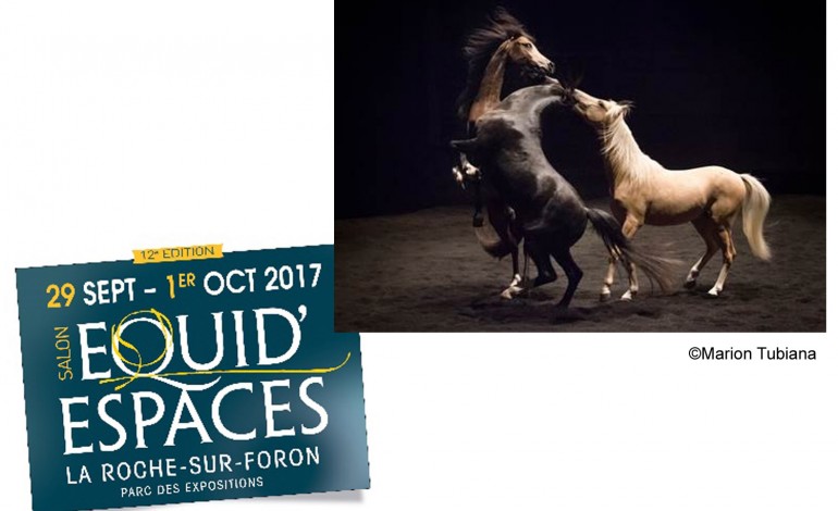 L’album photos du Théâtre équestre Zingaro à Equid Espaces 2017