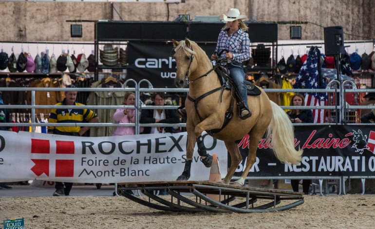 Equid’Espaces 2017 : mission accomplie pour l’équitation western !