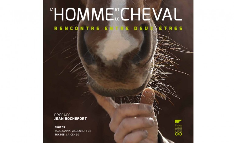 Le cheval expliqué à tous en toute beauté