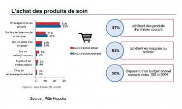 Produits de soin pour chevaux : la marque fait la différence