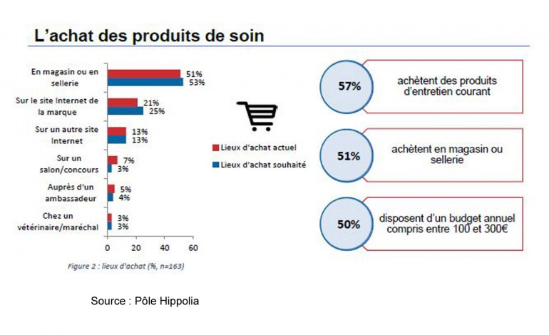 Produits de soin pour chevaux : la marque fait la différence