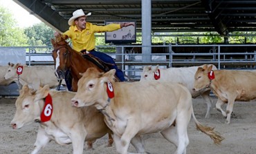 Scoop : l’UCAW organise en France le championnat d’Europe 2018 des disciplines de tri de bétail western