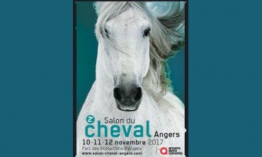 L'équitation western à l'honneur au Salon du Cheval d'Angers