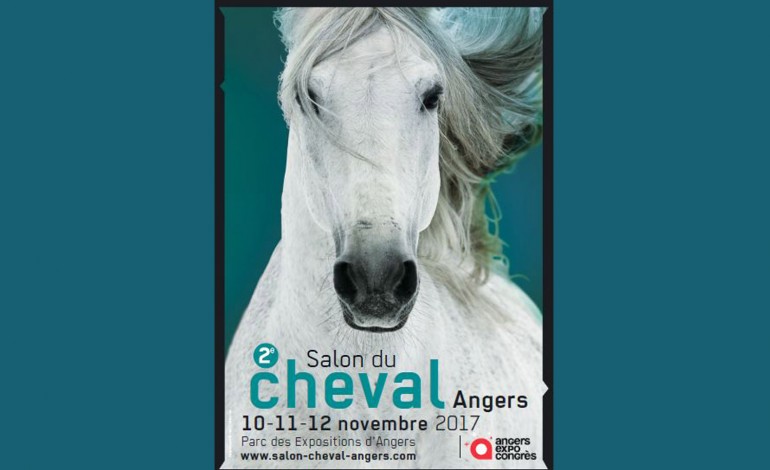 L’équitation western à l’honneur au Salon du Cheval d’Angers