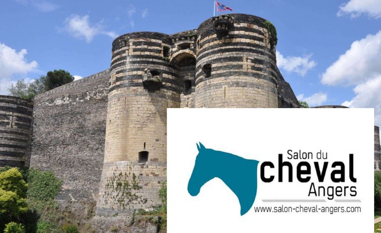 Salon du Cheval d’Angers, cap sur 2018