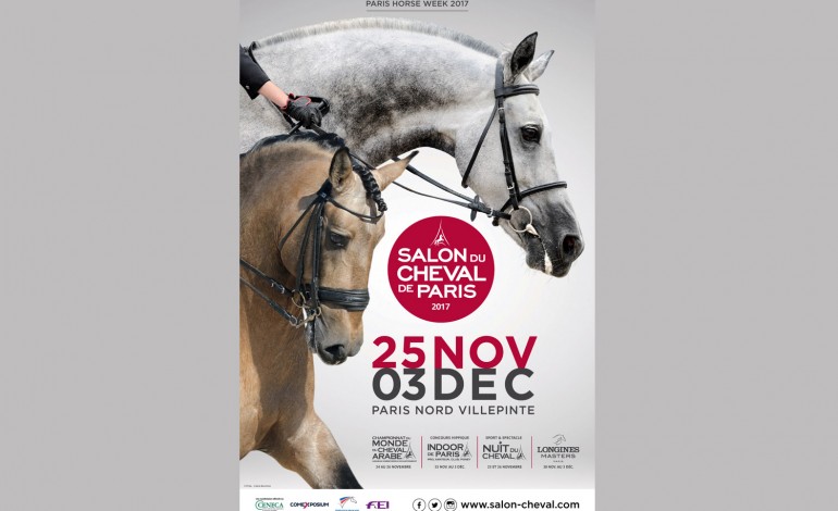 Vers une meilleure harmonie homme-cheval, on en parle au Salon du Cheval de Paris…