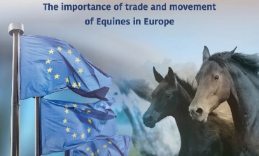 Quand l’Europe parle cheval…