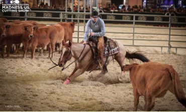 L'Equitation Western au Salon du Cheval de Paris : analyse d’une détermination