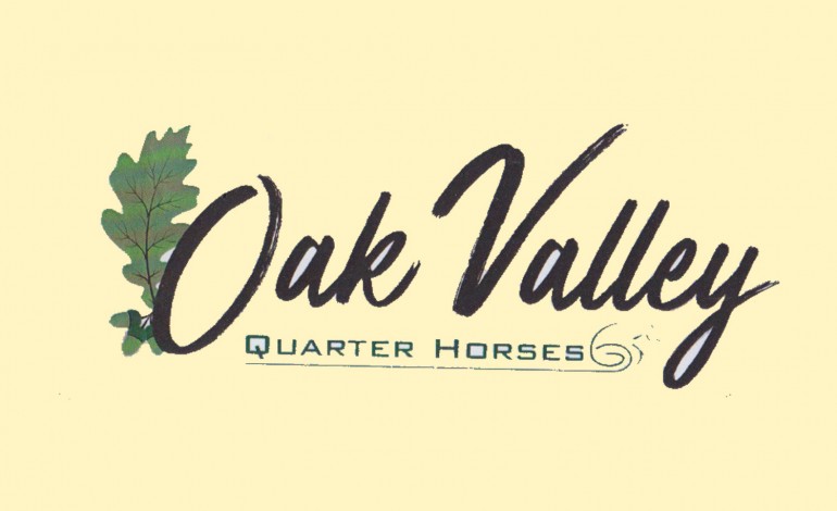 Oak Valley Quarter Horses à Valeille : l’union fait la force…