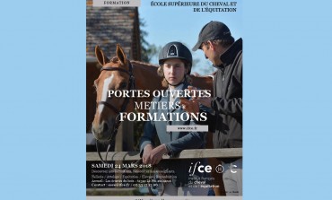 Pour en savoir plus sur les métiers du cheval…