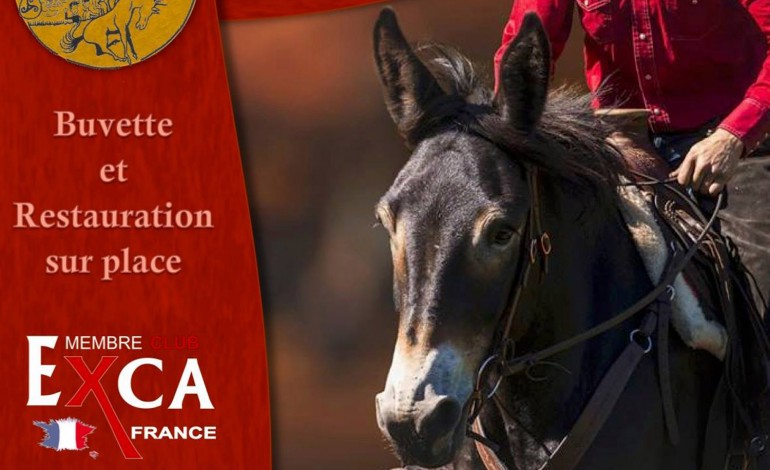 Extreme Cowboy Race en Bretagne, juste en face de l’Amérique !