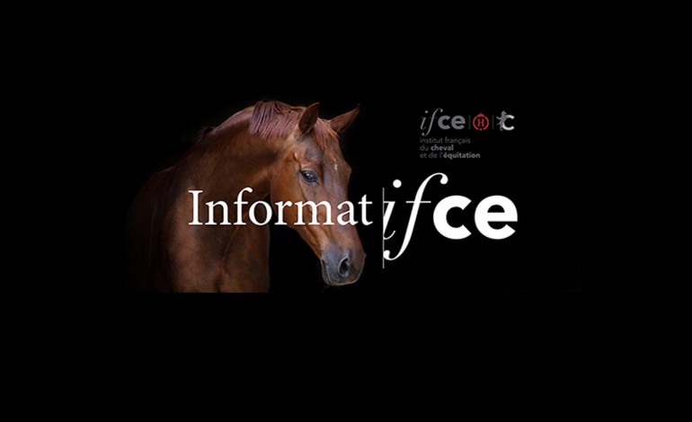 Pour suivre le fil d’information mensuel de l’Ifce, il suffit d’un clic